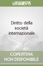 Diritto della società internazionale libro