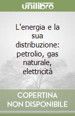 L'energia e la sua distribuzione: petrolio, gas naturale, elettricità