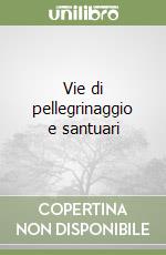 Vie di pellegrinaggio e santuari libro