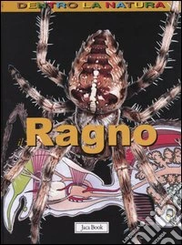 Il ragno