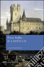 Il castello libro