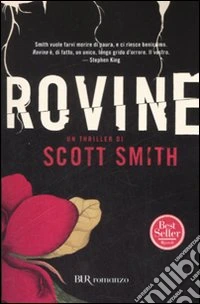 Rovine libro
