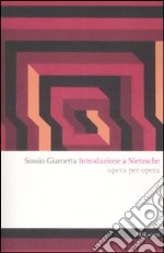 Introduzione a Nietzsche. Opera per opera libro