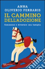 Il cammino dell'adozione libro