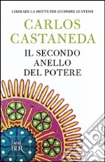 Il secondo anello del potere libro