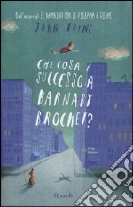 Che cosa è successo a Barnaby Brocket? libro