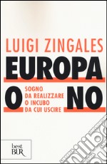 Europa o no. Sogno da realizzare o incubo da cui uscire