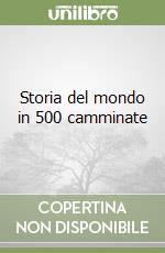 Storia del mondo in 500 camminate libro