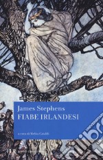 Fiabe irlandesi libro