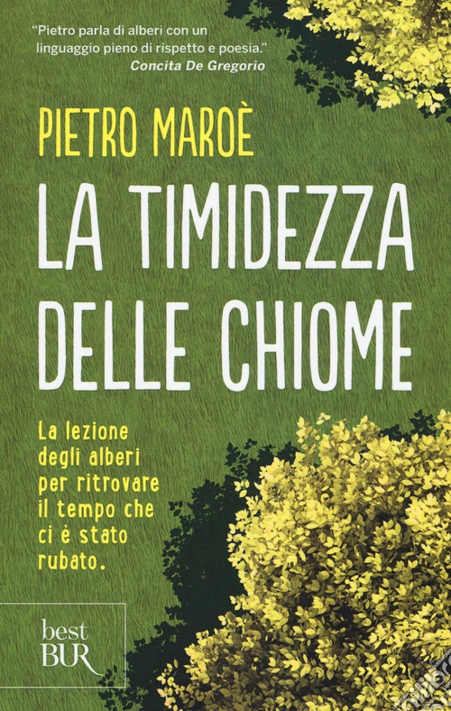 La timidezza delle chiome