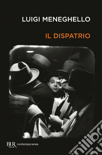 Il dispatrio