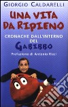 Una vita da ripieno. Cronache dall'interno del Gabibbo libro