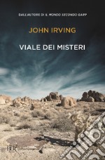 Viale dei misteri libro