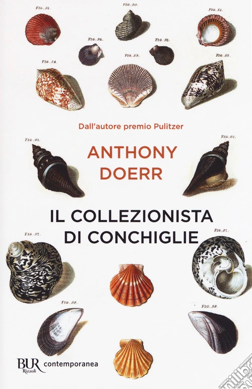 Il collezionista di conchiglie