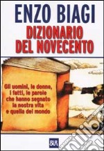 Dizionario del Novecento libro