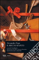 Il riccio rapito libro