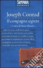 Il compagno segreto libro