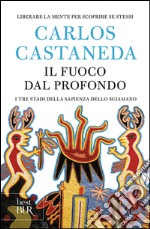 Il fuoco dal profondo libro