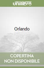 Orlando libro