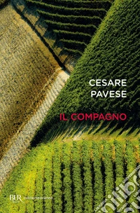 Il compagno