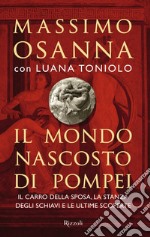 Il mondo nascosto di Pompei libro