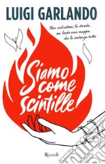 Siamo come scintille libro