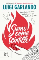 Siamo come scintille libro