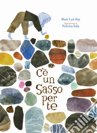C'è un sasso per te. Ediz. a colori libro
