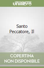 Santo Peccatore, Il libro