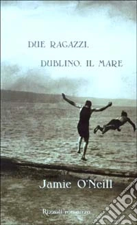 Due ragazzi, Dublino, il mare libro