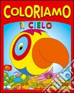 Coloriamo il cielo. Ediz. illustrata libro