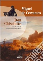 Don Chisciotte libro