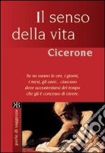 Il senso della vita libro