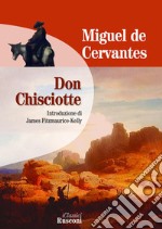 Don Chisciotte libro