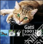 Gatti libro