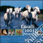 Cavalli libro