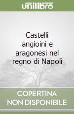 Castelli angioini e aragonesi nel regno di Napoli