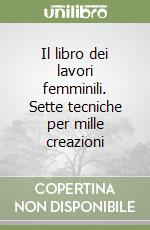 Il libro dei lavori femminili. Sette tecniche per mille creazioni libro