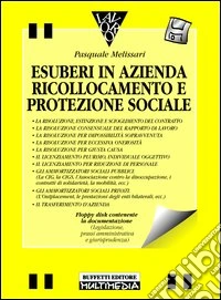 Esuberi in azienda libro