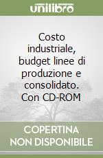 Costo industriale, budget linee di produzione e consolidato. Con CD-ROM libro