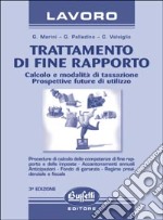 Trattamento di fine rapporto. Calcolo e modalità di tassazione. Prospettive future di utilizzo libro