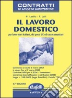 Il lavoro domestico libro