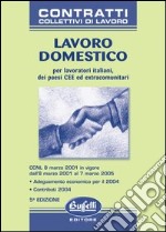 Lavoro domestico libro