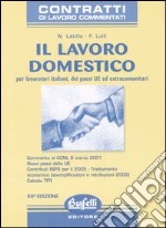 Il lavoro domestico libro