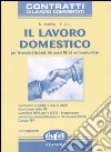 Il lavoro domestico libro