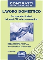 Lavoro domestico libro