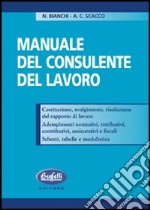 Manuale del consulente del lavoro libro