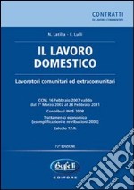 Il lavoro domestico libro