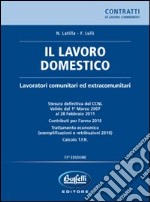 Il lavoro domestico libro