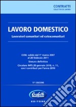 Lavoro domestico. Lavoratori comunitari ed extracomunitari libro